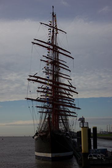 Die Sedov 