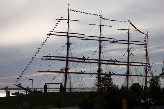 Die Sedov 